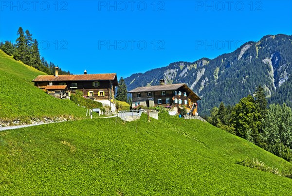 Farmhouses on the slope