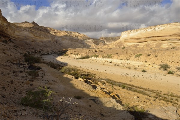 Limestone canyon of Wadi Shuwaymiyah