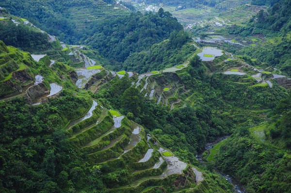 Rice terraces of Banaue