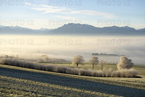 Foggy atmosphere