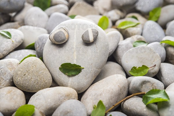 Face made of stones
