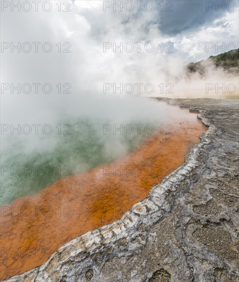 Champagne Pool