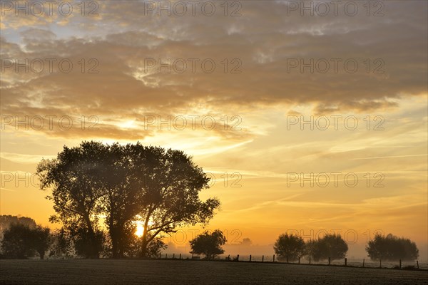 Sunrise behind trees in autumn