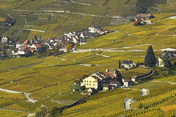 Vineyards in autumn with view of winemaking villages Epesses and Riex