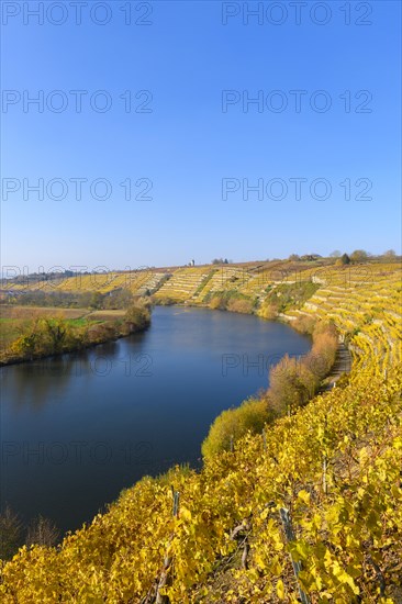 Neckar loop near Kirchheim am Neckar