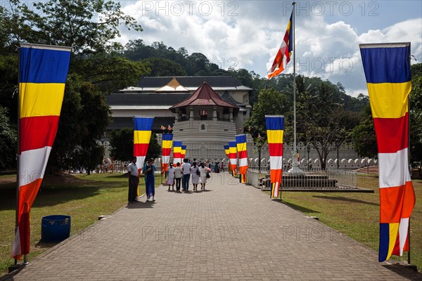 Buddhist flags