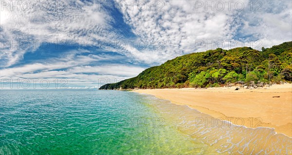 Gold Yellow sandy beach with tropical vegetation