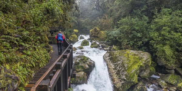 Hiker on wooden walkway along the river