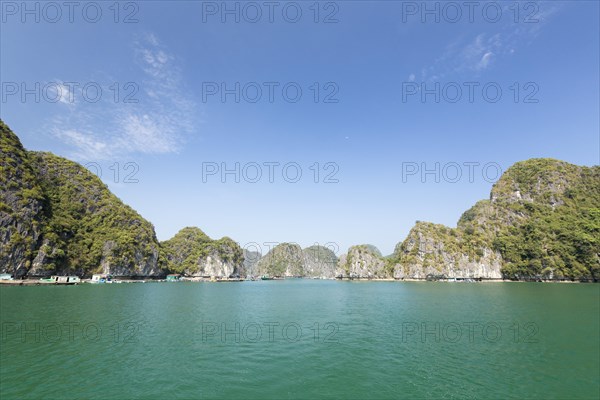 Overgrown limestone karst formations