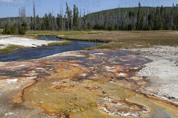 Mineral deposits on Iron Spring Creek