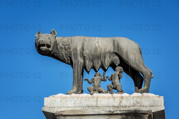 The Capitoline Wolf