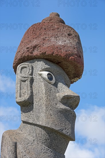 Moai in the Ahu Tahai Complex