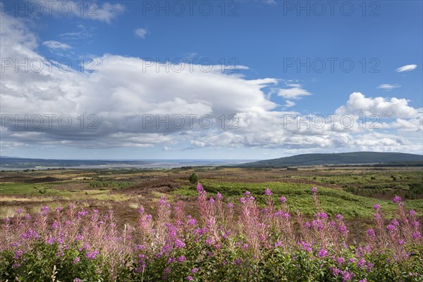 View from the viewpoint Struie Hill