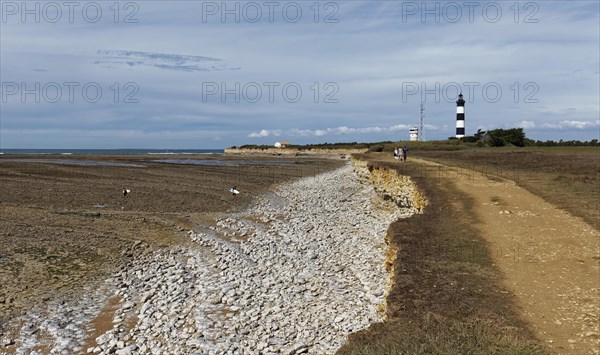 Atlantic coast at low tide, Ile d'Oléron