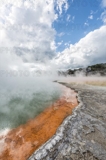 Champagne Pool