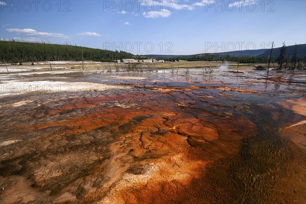 Mineral deposits in Biscuit Basin