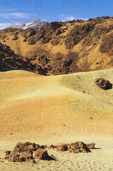 Pumice stone field