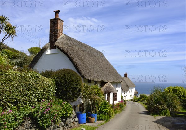 Traditional thatched houses