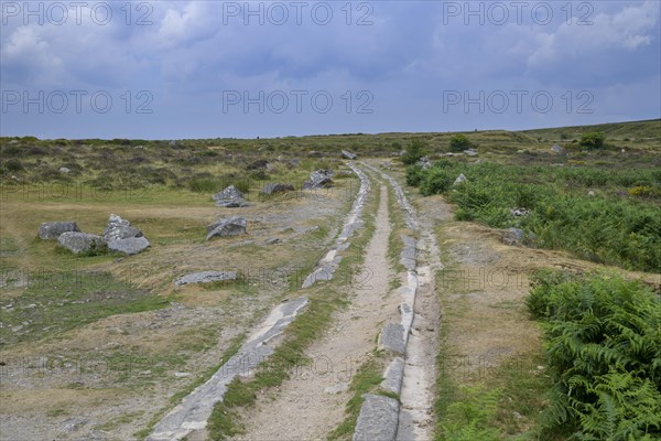 Granite rails of the horse-drawn railway