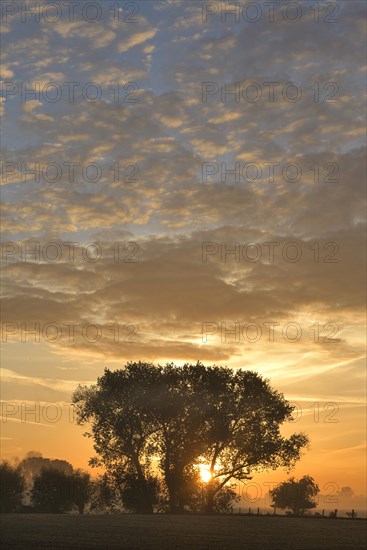 Sunrise behind trees in autumn