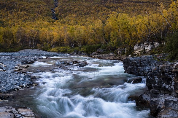 Autumnal Abisko canyon