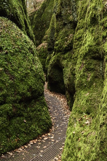 Canyon Drachenschlucht