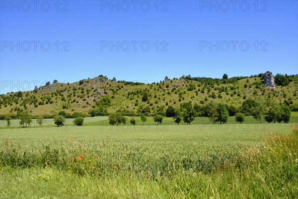 Dry slope and field near Dollnstein