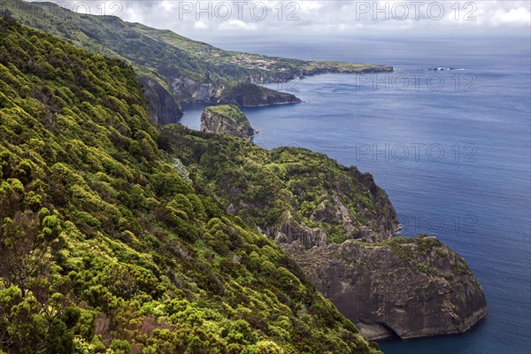 View of the northeast coast