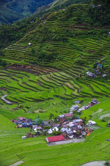 Batad rice terraces