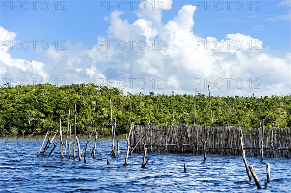 Fish traps in the Canal des Pangalanes