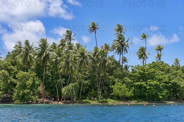 Palm beach on Raiatea