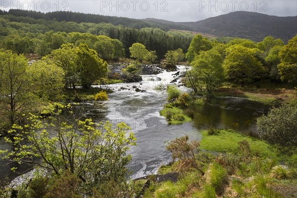 Gearhameen River in Black Valley