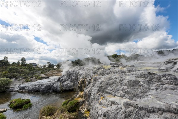 Steaming Pohutu Geyser and Prince of Wales Feathers Geyser