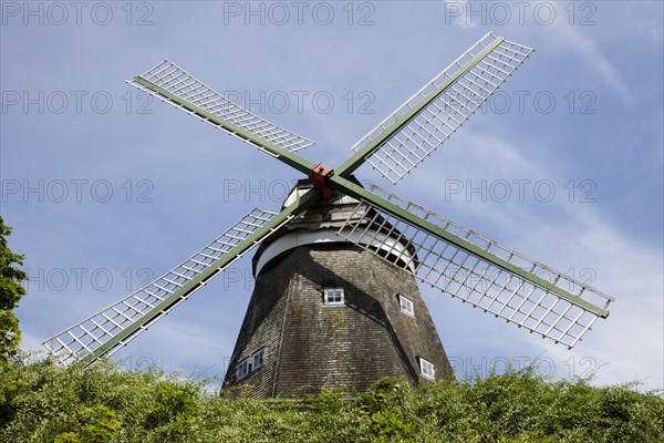Mill