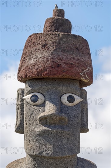 Moai in the Ahu Tahai Complex