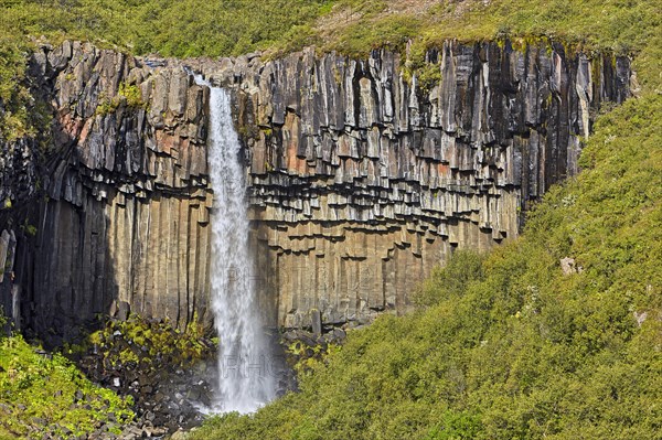 Svartifoss