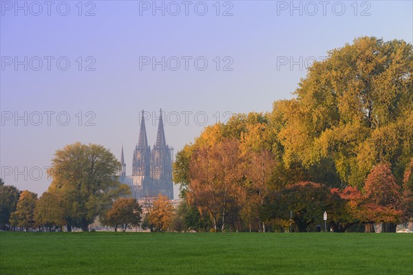 Rheinpark in autumn in front of Cologne Cathedral
