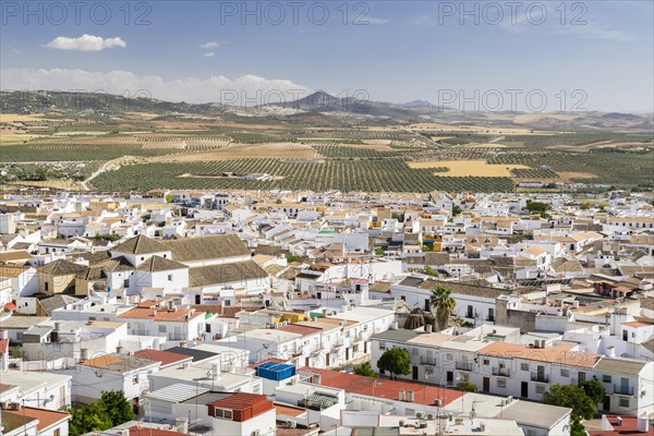 View of Old Town