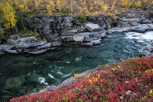 Autumnal Abisko Canyon