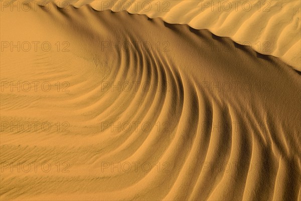 Sand ripples in the sanddunes of Al Khaluf desert