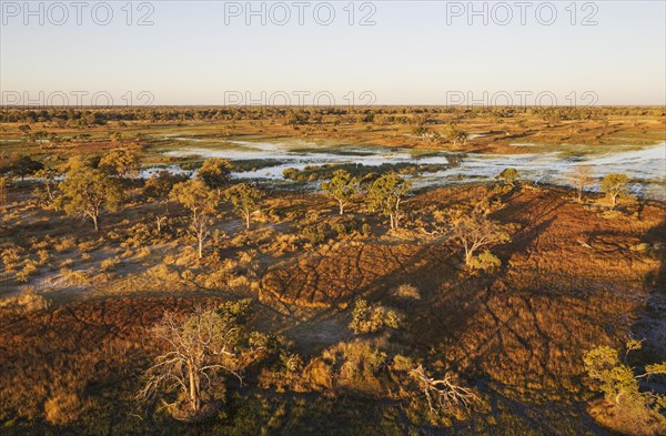 Freshwater marshes with streams