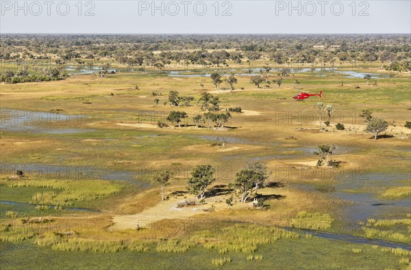 Freshwater marshes with streams