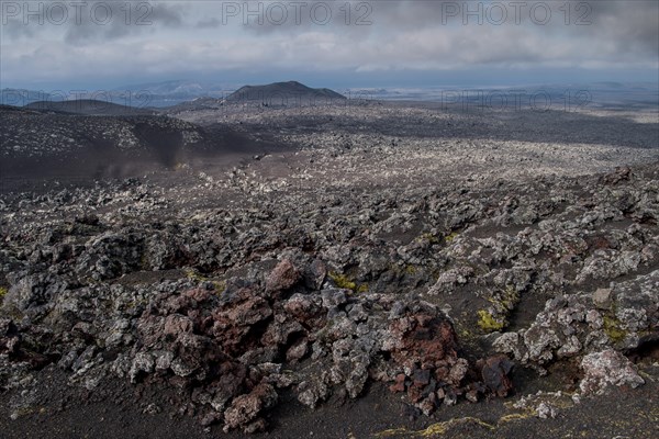 Lava fields