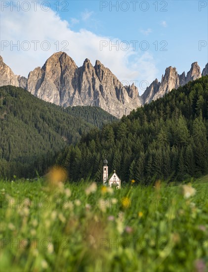 Flowers in front of the church St. Johann in Ranui