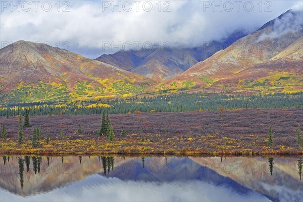 Colorful autumn landscape