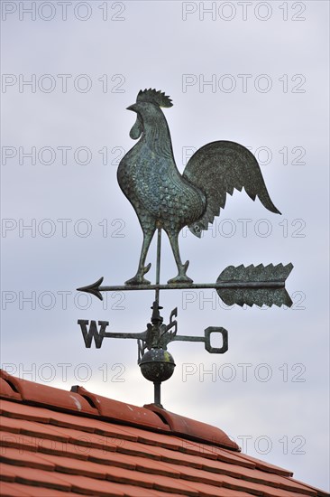 Weathercock with cardinal points on roof