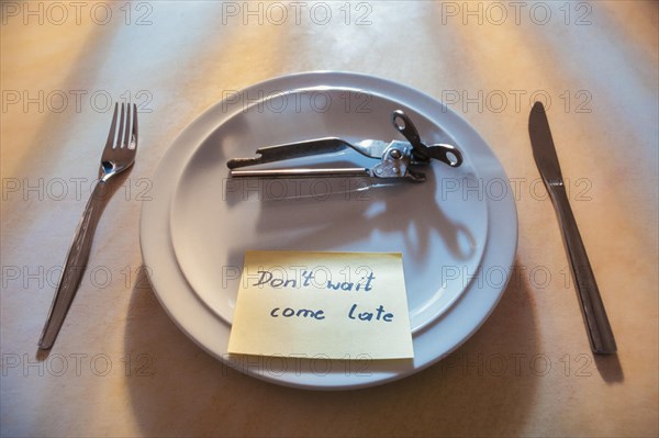 Empty plate with cutlery and a can opener