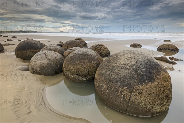 Moeraki Boulders on the beach