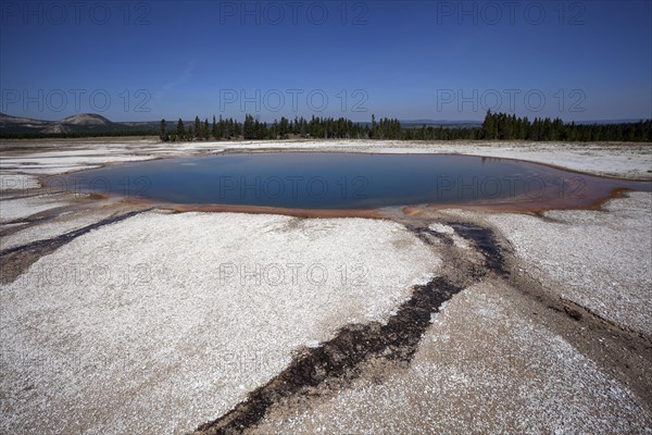 Turquoise Pool