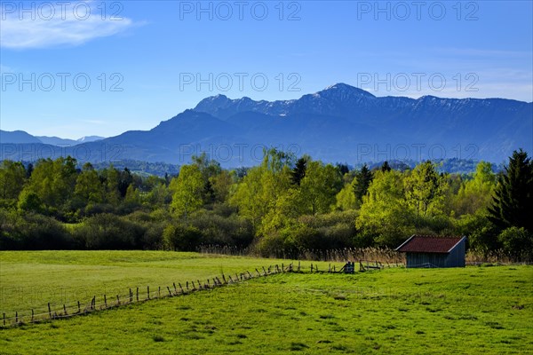 Murnauer Moos with Alps